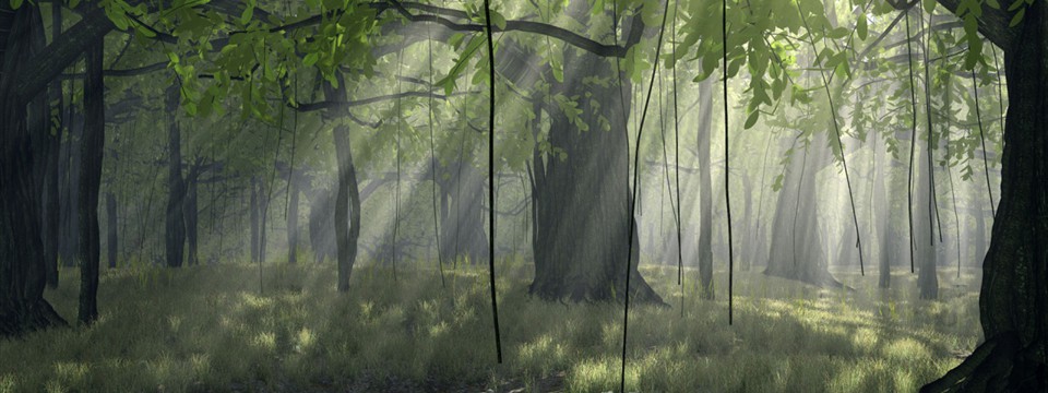 Light rays penetrating the forest